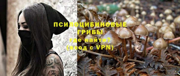 шишки Аркадак